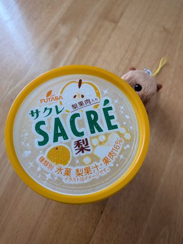 探しもとめていたアイス……