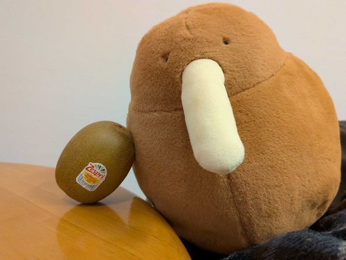 ｷｰｳｨ!!