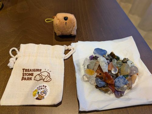 たからもの！たくさん！！
ハチはトレジャーハンター……