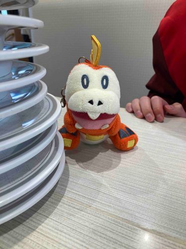 おすしたくさん食べたホゲ🍣
おいしいホゲー😋