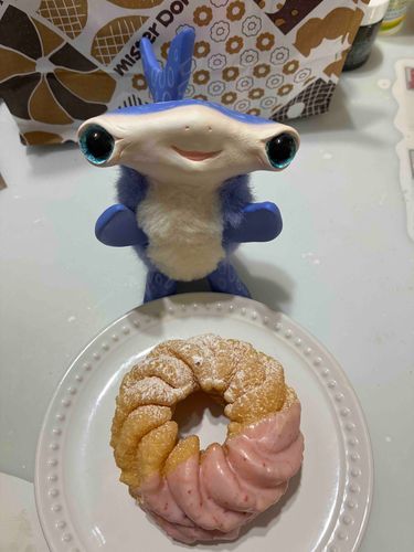 あさごはんドーナツ🍩
おいしそー😋