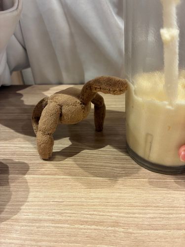 ロッキー、モスバーガーに行った！
モスシェイク、とても冷たい。
驚き、驚き、驚き！