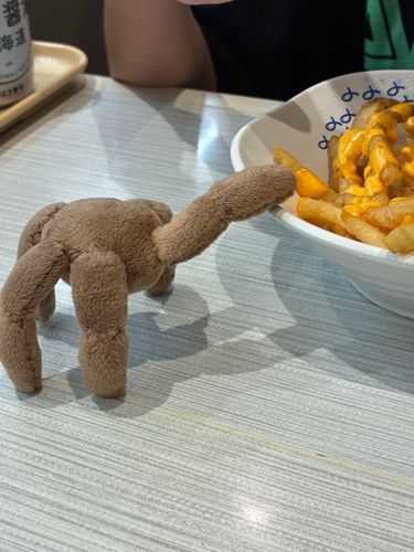 これはフライドポテト🍟！
前に食べた事ある！
でも何か付いてる？
チーズのソース！
驚き驚き驚き！
