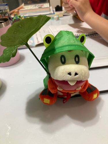 梅雨の準備はバッチリだホゲ！