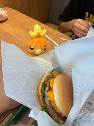 アチャモ、モスバーガーきたよ！
おっきいね！おいしそう😆