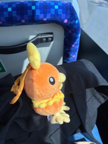 バス🚌たのしい！
どこにいくのかなー？
