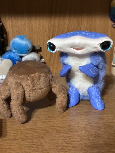 ロッキーがあそびにきたよ。
これから🌏ちきゅうをちょうさするんだって。
うみをあんないしてあげよっかな？
でもロッキーおよげるかなー？
