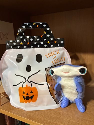 ハロウィンのおかし！
もらっちゃったからいたずらできないねえ
🎃🧟🧟‍♀️🧟‍♂️👻