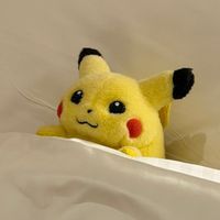ぷくちゃま