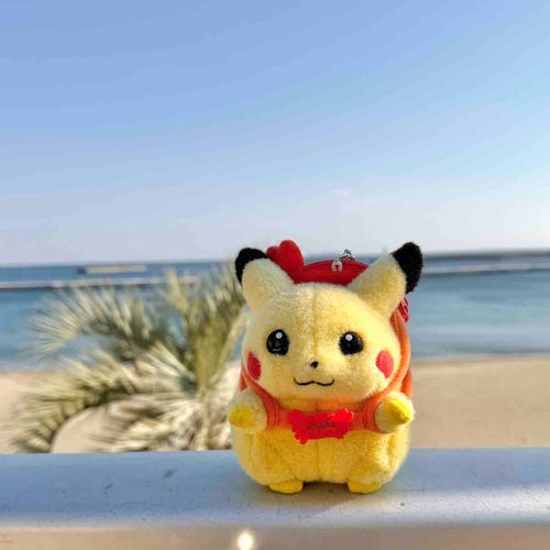 ﾌﾟｰ

う～み～でち！🌊
はれてて綺麗でちたよ✨