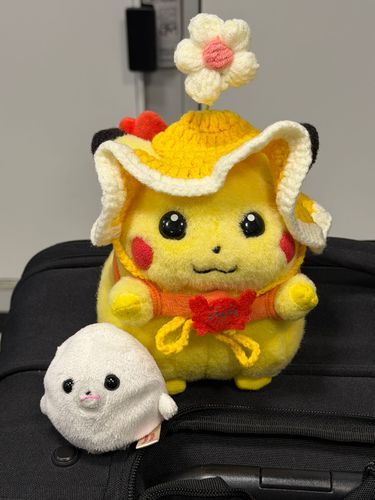 ﾋﾟｰチュ

みなちゃま～💛おはようございまちゅ☀️🌱

今日は念願の旅行なんでちよ～👍🏻
アザラシのぶーちゃんと いっしょでち～🎶
いってきまちゅ☝️