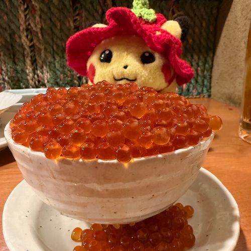ﾌﾟｰｰ

はじめての つっこ飯でち～！！
いくらを零れるまでよいしょーって乗せてもらうんでちよ☝️
幸せで贅沢でち✌️
