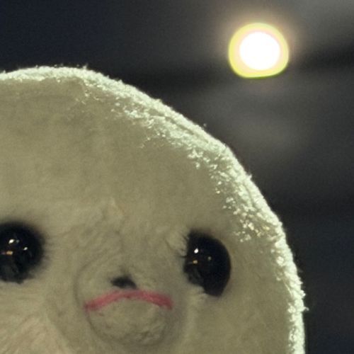 十五夜だぜ。ブーちゃんはお団子じゃないぜ。