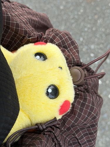プー

ママの新しい おカバンで お出かけでち💛落ちないように、首のとこをぎゅっとするんでちけど、お外が見れて特等席なんでちよ✌️
おカバンも可愛いでちよ☝️