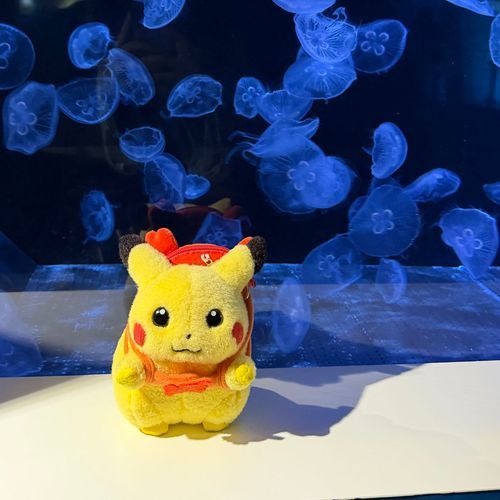 ﾌﾟｰ

ちょっと前にいった 水族館でちよ🪼
じつは ふわもこプレミアムはいってみたでち☝️たくさんお写真のせれるといいでちな～✨️
王冠つきまちたかな？👑
この写真、ちょっとプクの顔がちがうでち😤