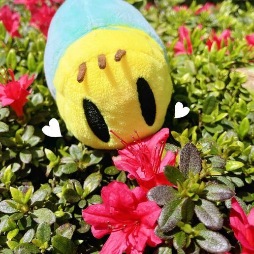 あむあむ (๑⃙⃘´༥`๑⃙⃘)