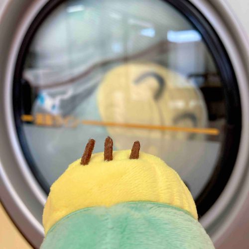 大きいお兄ちゃんたち、回ってる⋯。