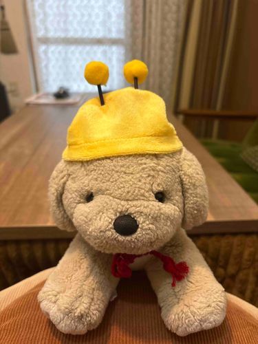 ままがいきつけのセリアでわんちゃんに似合いそうだってはりきって買ってきたけど、ちょぴっとちいさかったんだ。

