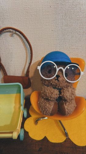 おしゃれなサングラス🕶️を手に入れたくまちゃん