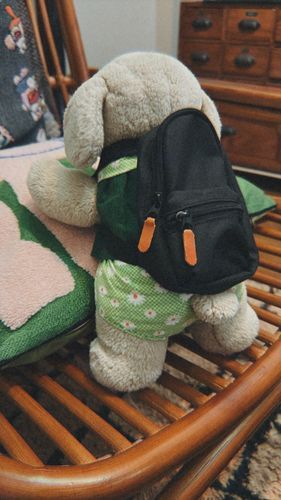 今日はままさんがむじるしでかったりゅっくをボク用にリメイクしてくれたよ。
おでかけがたのしみになるね🎒