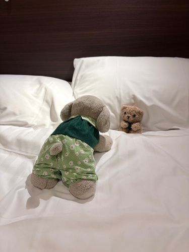 きょうままさんはリベラのコンサートにぼくたちもつれていってくれていっしょにすてきなうたごえにかんどうしたよ。ままさんはずっとなみだでていたよ。　