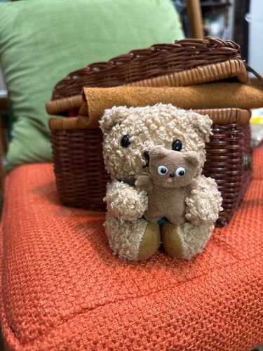 みてー！
ままさんがぼくにぬいぐるみを作ってくれたよ🐻