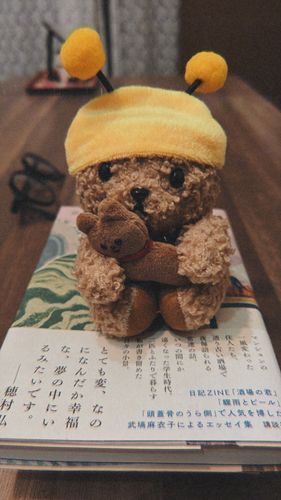 最近のままさんのお休み読書とはチクチク縫い物なの。今日はネコさんのぬいぐるみをつくむてわんちゃんが入らなかったお帽子をボクサイズにしてくれたんだー！