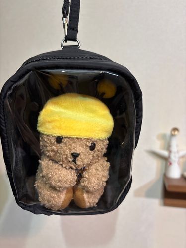 みなさんにそうだんだよ！
おでかけする時のいどうしゅだんをおしえてほしいよ！
最近のままさんのなやみなんだって。　むじるしのバッグはボクてきによいけどままさんはていこうがあるんだって。