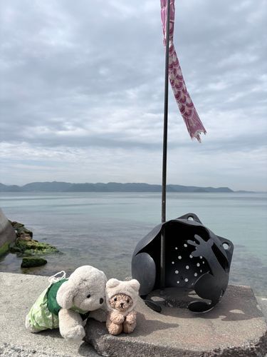 はじめての海🌊