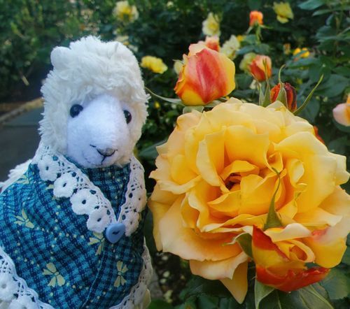 なんだか顔より大きなおはな だよ
たくましい おはな なのね

[小さな薔薇から大きな薔薇まであって可愛かったね]