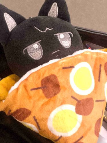 ぴざに いれても うよにゃは たべられないです ねこ なので