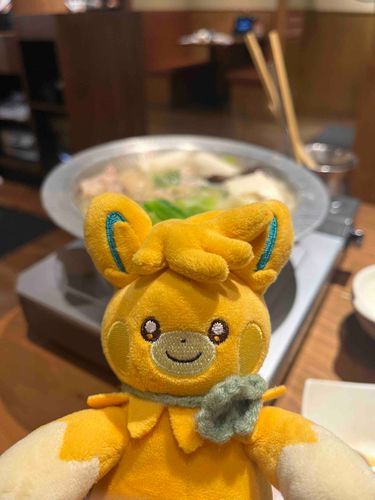 ぐつぐつしてる！水炊きっていう料理なんだって〜 美味しそー！