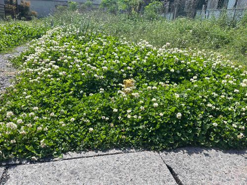 ここだよー