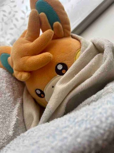 みんな久しぶり〜 パゼッタだよ〜
トレーナーさんが忙しくて
全然投稿できなかったよ〜😭
相変わらず不定期になっちゃうけど
よろしくね〜