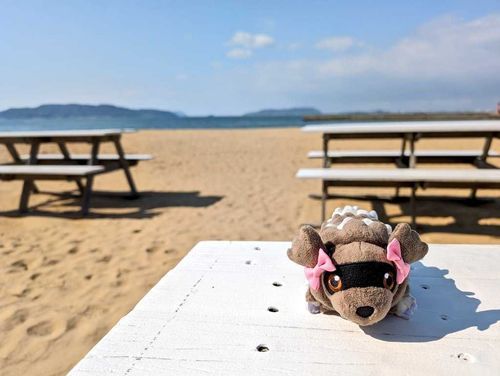 海だよ、てんぷら