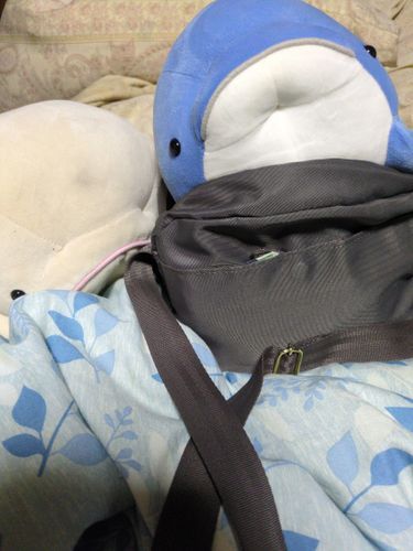 あしたお出かけするからお母さんのカバンに忍ぼうとして怒られた。でも一緒に行きたいな。どうしよう？