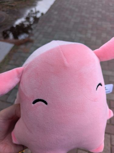 新しいお友達！