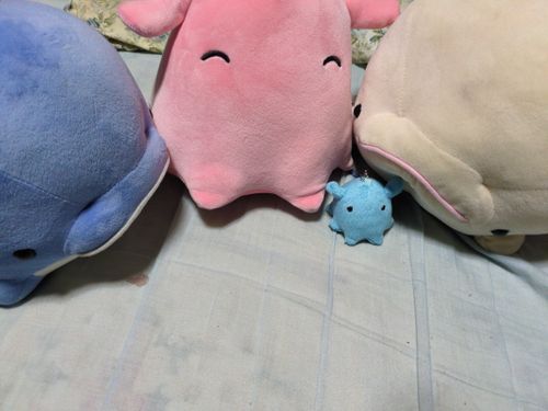 よろしくね！