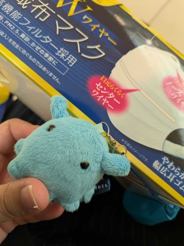 おかあさんがにゅういんしたからおみまいにいくのー！
