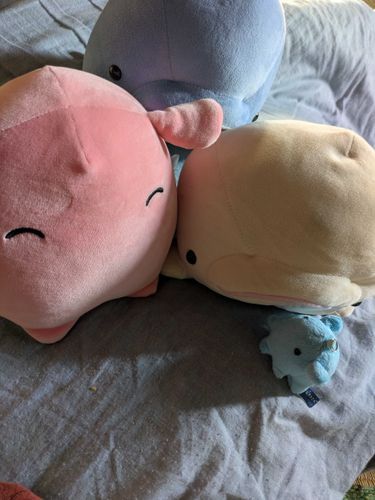おかあさんびょういんからかえってきたよーみんなよかったねー