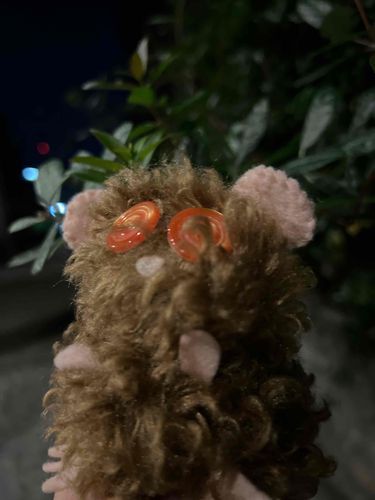 冬の夜風を浴びてるっぴ。渋いっぴ？