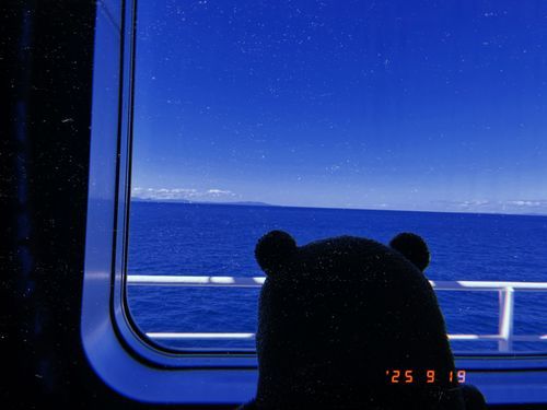 去年はいろんなところを旅したんだ。
