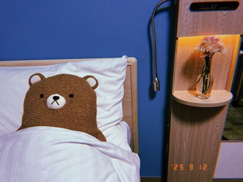 東横インが好きで、オリジナルピンバッジもあつめてるんだ。
お花を買ってみたよ。ピンクのカーネーション。かわいいね。