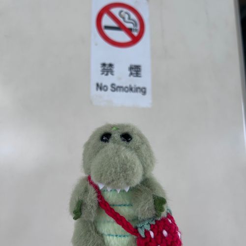 のーすもーきんぐ！！