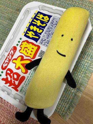 きょうから　これをねどことする！