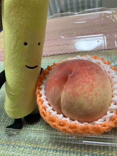 でっかい　ももだー