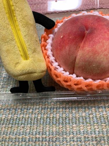 おじゃがのおしりは　あんまりわれてないんですよね