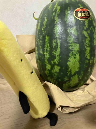 おじゃがもあるけば　すいかにあたる…