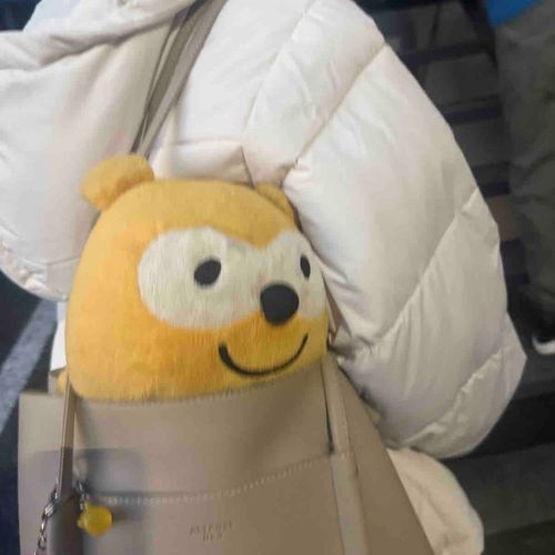 お出かけしてきた〜＼(^o^)／
階段登るの大変やからカバン入れて貰ったo(^.^)o