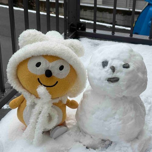 昨日はたくさん積もったから、雪遊びしたにー！(^o^)
同じサイズの雪だるま作った！冷たかった〜⛄️